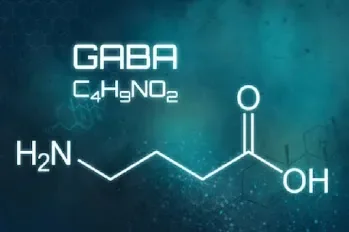 GABA and Sleep: What Research Actually Shows