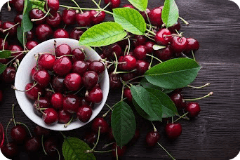 Red Tart Cherry Extract ingredient for Yu Sleep sleep support