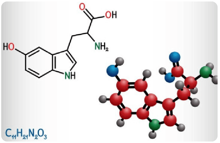 5-HTP ingredient for Yu Sleep sleep support