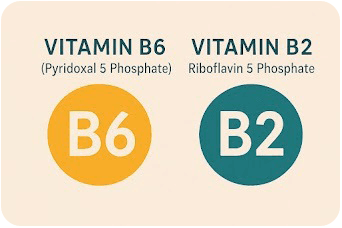 Vitamin B6 and B2 ingredients for sleep regulation