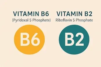 Vitamin B6 and Sleep-Wake Biology